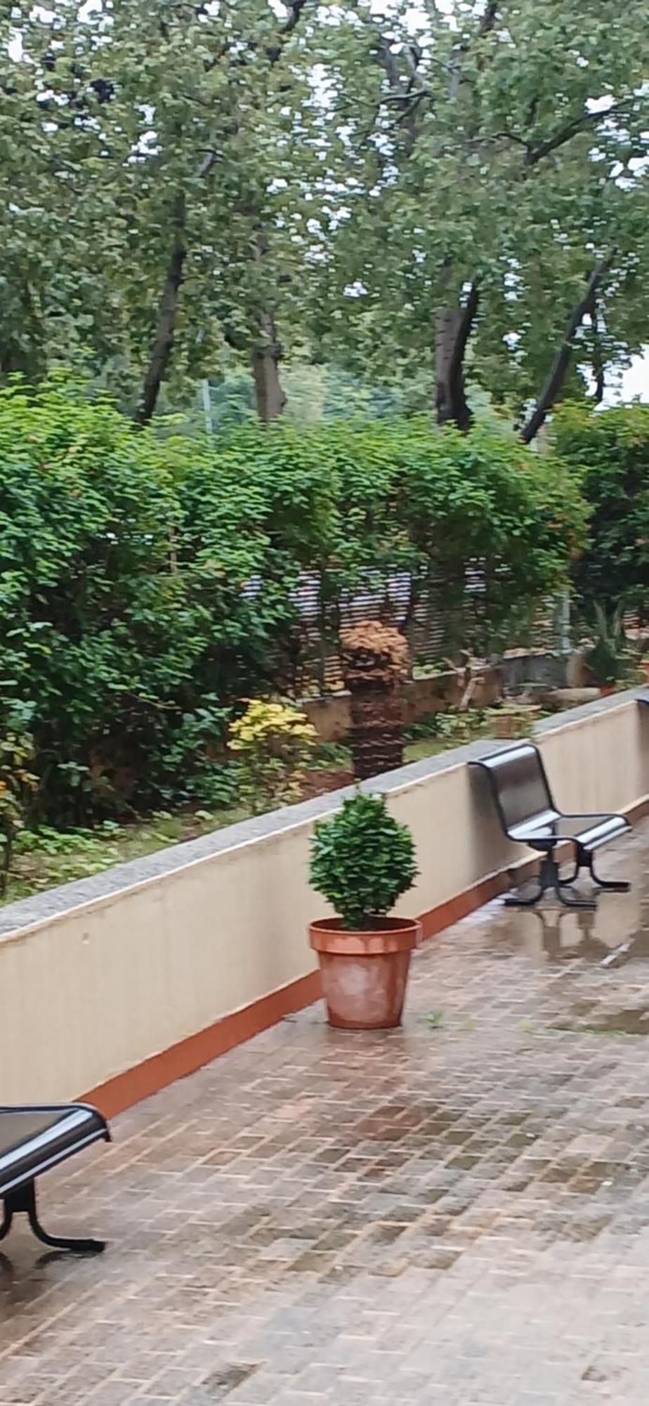 סביליה Larru Los Bermejales Residencia Universitaria מראה חיצוני תמונה
