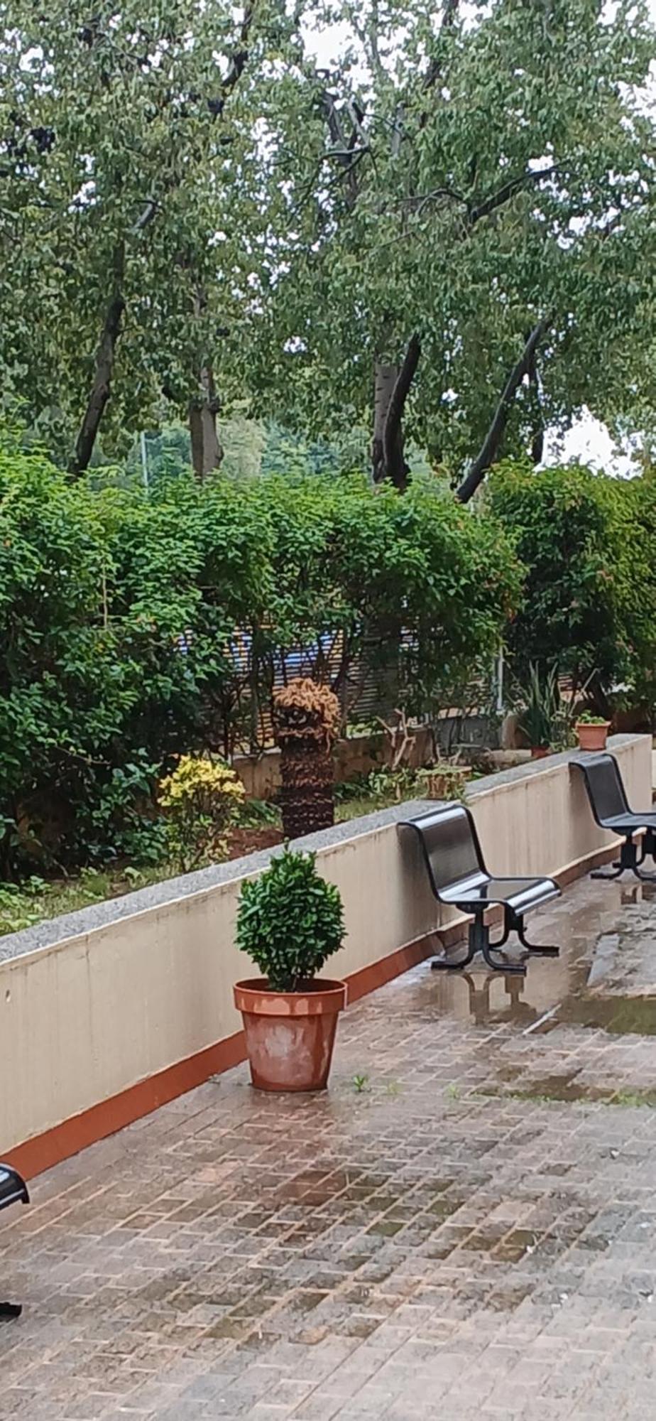 סביליה Larru Los Bermejales Residencia Universitaria מראה חיצוני תמונה
